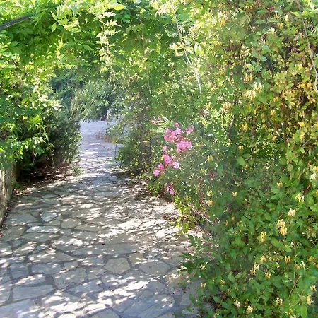 Paradise Garden *