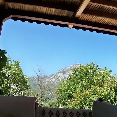 Paradise Garden