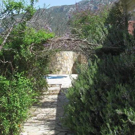 Paradise Garden *